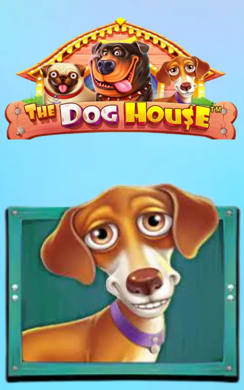 Dog House Megaways slot