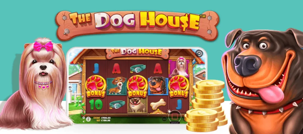 Dog House megaways slot oyunu nasıl oynanır
